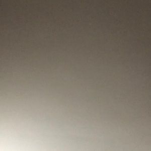 Meet your Posher, Dennis